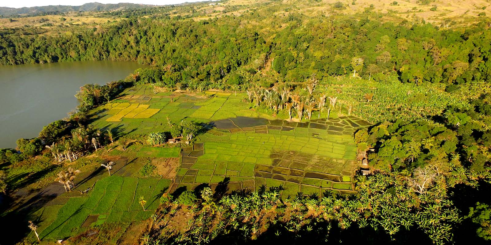 offres speciales excursions Rizières, l'autre Nosy Be